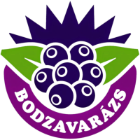 Bodzavarázs Kft.